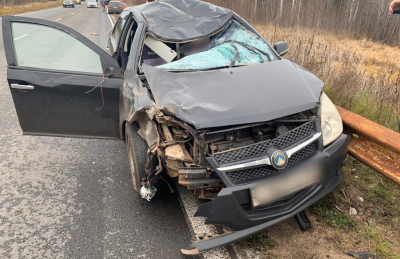 В Новгородской области водитель автомобиля погиб в результате наезда на дикое животное