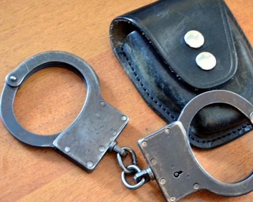 Полицейские в Новгородском районе изъяли у местного жителя украденную им бензопилу