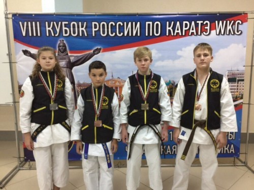 Новгородские спортсмены выиграли Кубок Федерации каратэ России (фото)