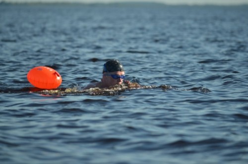 160 километров по реке Ловать проплывут новгородские моржи