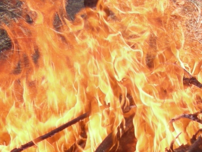 Двое мужчин погибли на пожарах в Новгородской области за минувшие выходные
