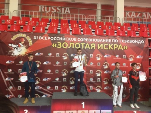 2 золотых, 1 серебряную и 5 бронзовых медалей завоевали новгородские тхэквондисты