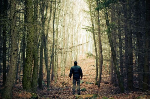 В Маловишерском районе трое суток искали мужчину, потерявшегося в лесу