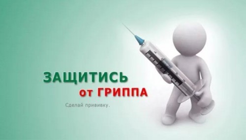 В Новгородскую область поступила первая партия вакцины против гриппа «Совигрипп»