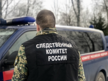 Недалеко от деревни Толстиково Новгородского района, пассажир машины  нанёс удар ножом в шею водителю