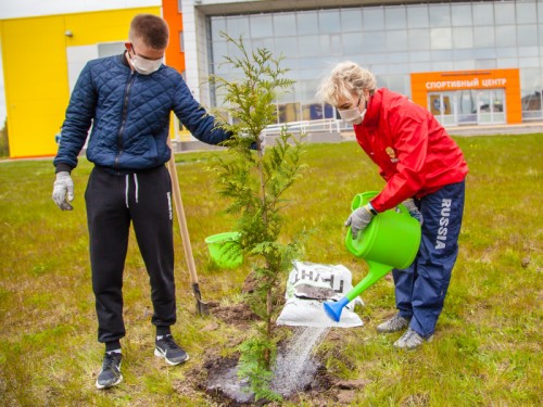 Новгородские спортсмены и тренеры посадили деревья у спортивного центра на Псковской