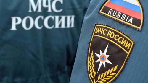 10 человек заблудилось в новгородских лесах только за один минувший день.