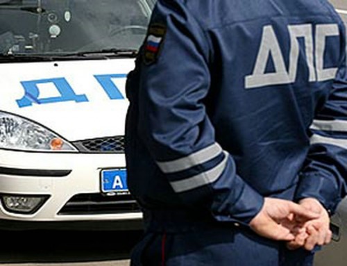 Солецкие полицейские на автодороге «Новгород – Псков» задержали угонщика