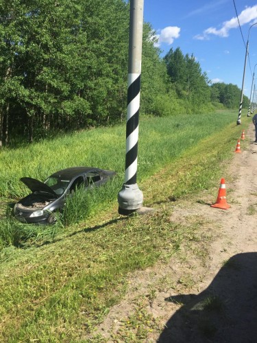 На 12 км а/д «Великий Новгород- Псков»  автомобиль "Renault Logan" столкнулся с лосем (фото)