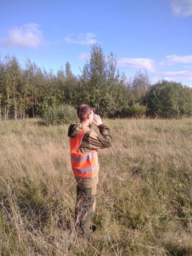 За прошедшие выходные в новгородских лесах потерялось 8 человек. 7 из них были найдены и выведены из леса, поиски 1 человека продолжаются.