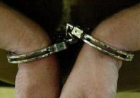 В Маловишерском районе задержан 15 летний серийный магазинный вор