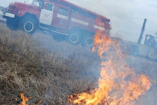 В Новгородской области от подожженной травы сгорели дотла семь строений.