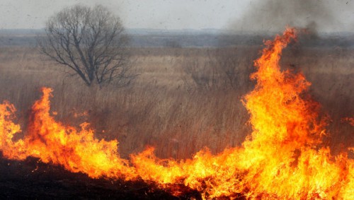 Пожар в Неболчах.