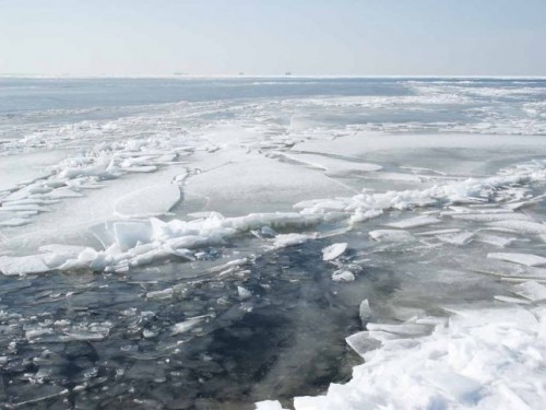Следователи проверяют факт гибели рыбака в Новгородской области