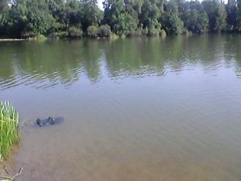 В Новгородском районе во время купания утонул 8-летний ребенок