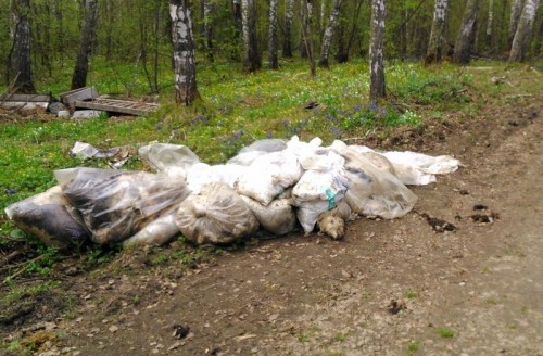 В двух районах Новгородской области обнаружены свалки трупов овец