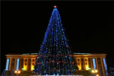 Новогоднюю ель на главной площади Великого Новгорода установят к 10 декабря