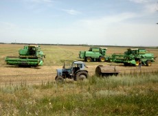Количество сельскохозяйственных организаций в Новгородской области сократилось на треть