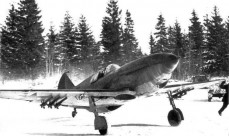 Поисковики обнаружили место падения советского истребителя ЛаГГ-3