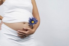 В новгородских государственных медицинских организациях введен мораторий на проведение абортов