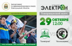 На стадионе «Электрон» пройдет товарищеский матч между командой «Электрон» и командой болельщиков.