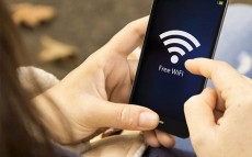 До конца года в парках Великого Новгорода появится бесплатный Wi-Fi